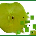 04 jurasma1 jablko large 1