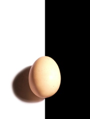 petrara2 01 vejce